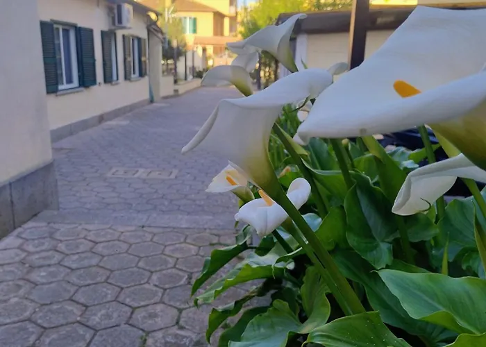 Dimora Trionfale Apartment